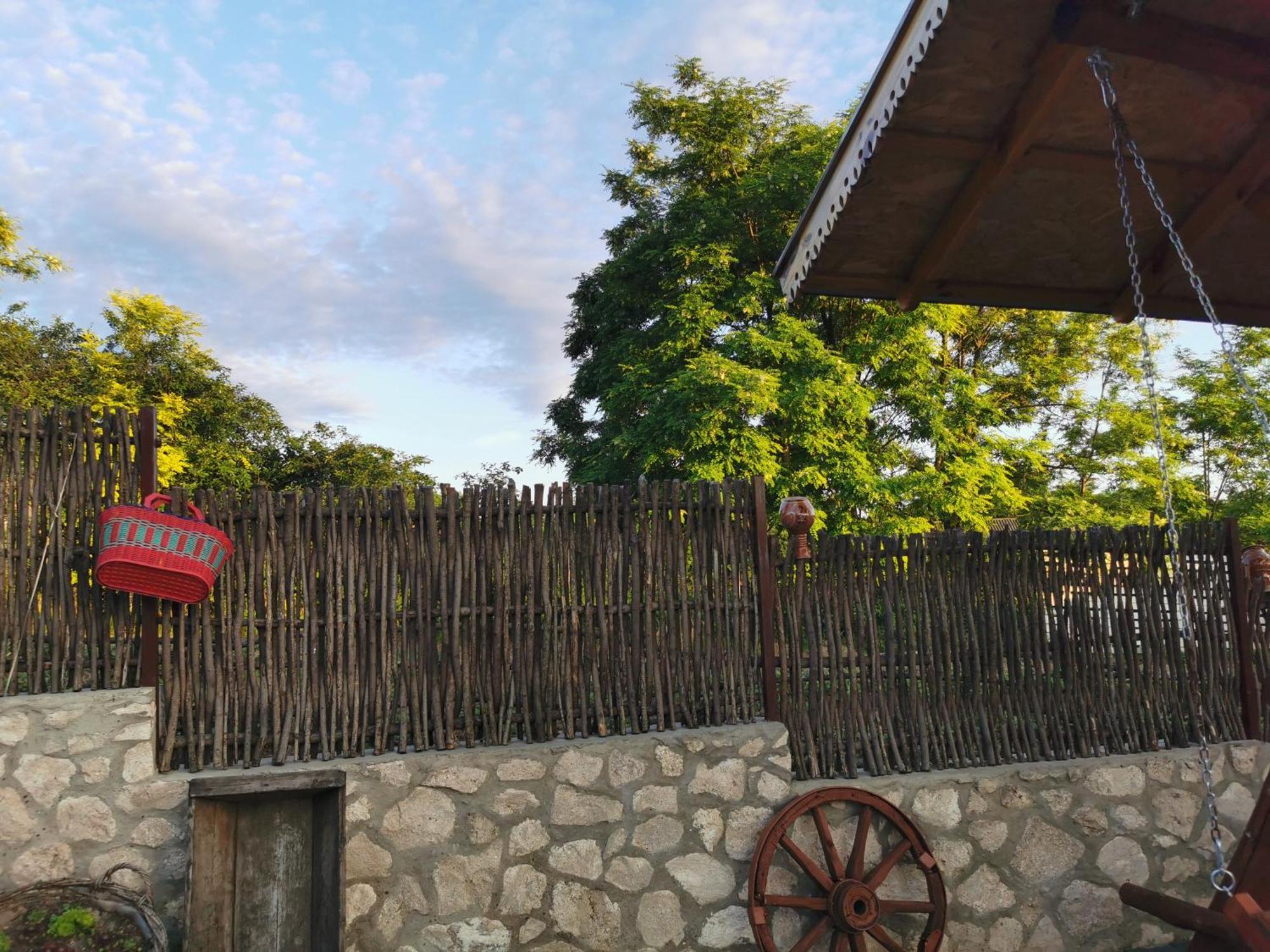 La Madalina Bed & Breakfast Selemet Dış mekan fotoğraf