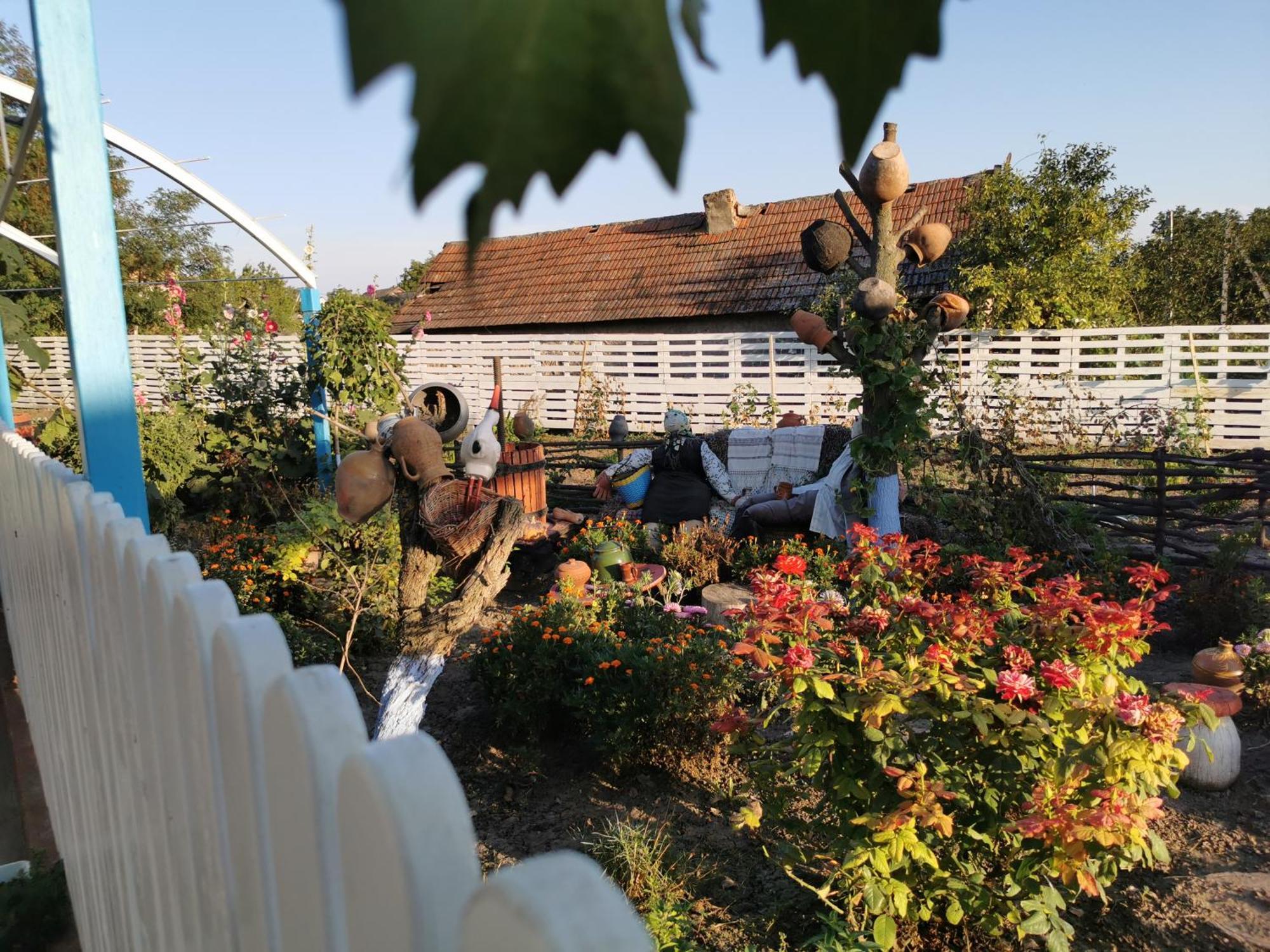La Madalina Bed & Breakfast Selemet Dış mekan fotoğraf