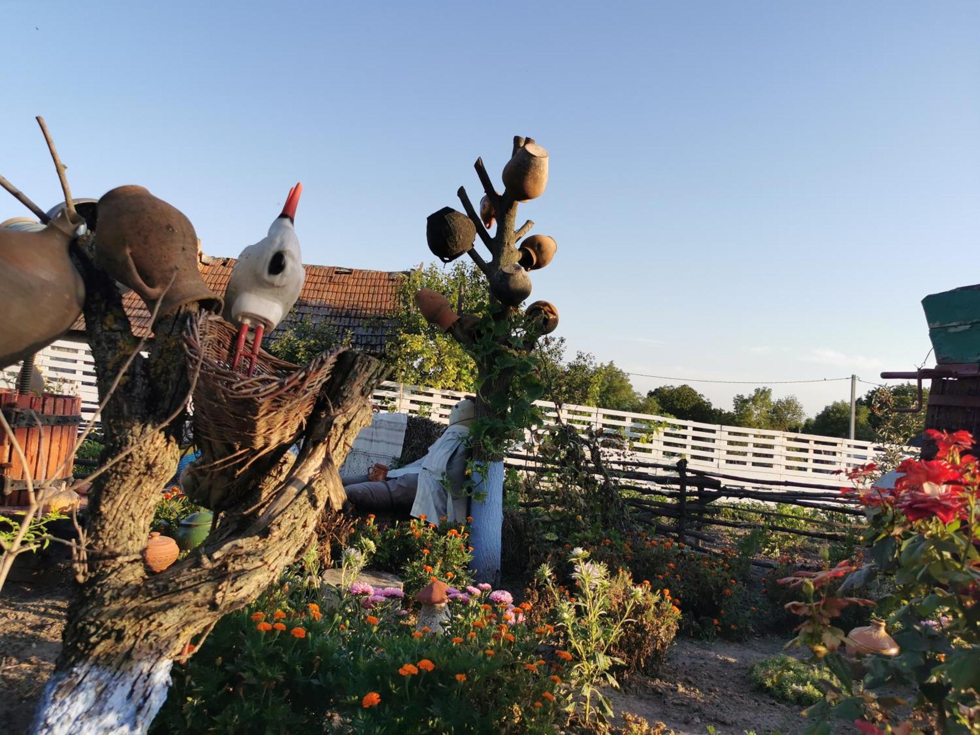 La Madalina Bed & Breakfast Selemet Dış mekan fotoğraf