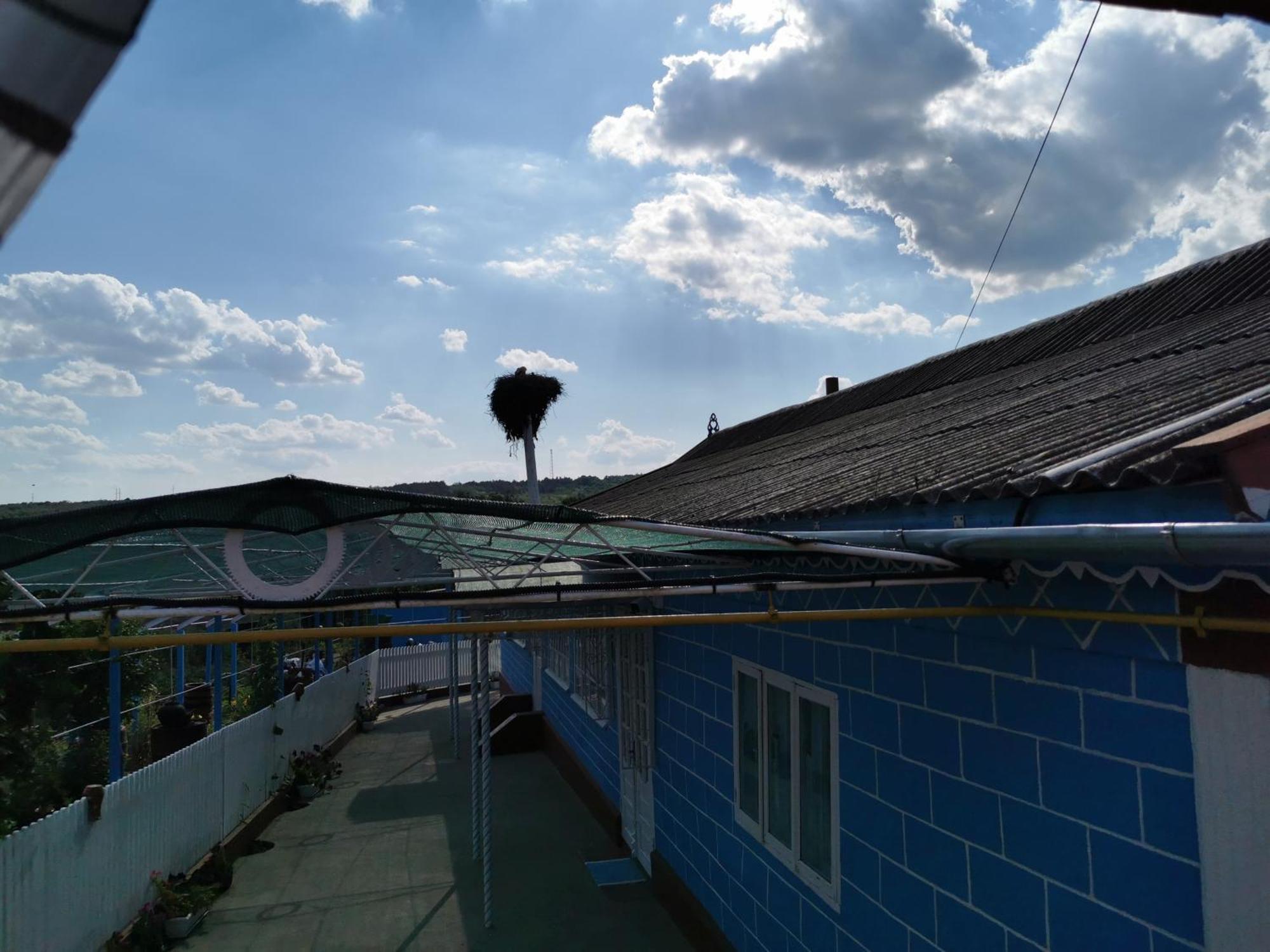 La Madalina Bed & Breakfast Selemet Dış mekan fotoğraf